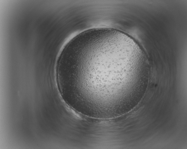 X0000067911480200604201351