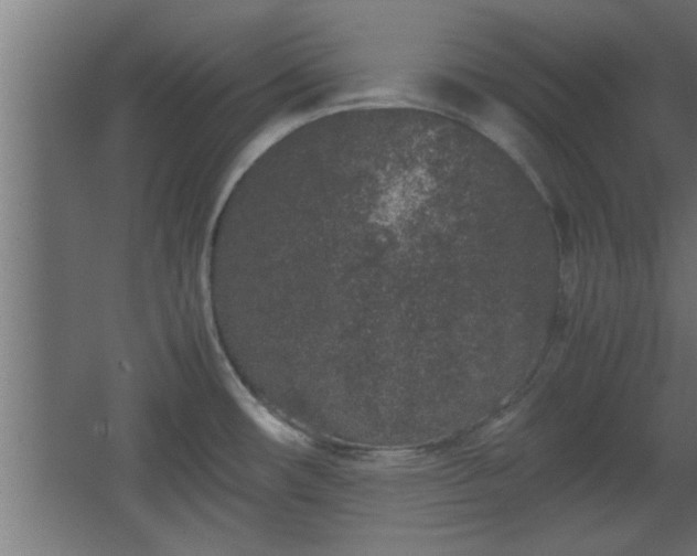 X0000067911482200604201351