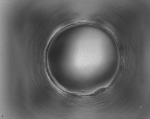 X0000067911483200604201351