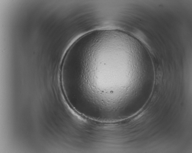 X0000067911484200604201351