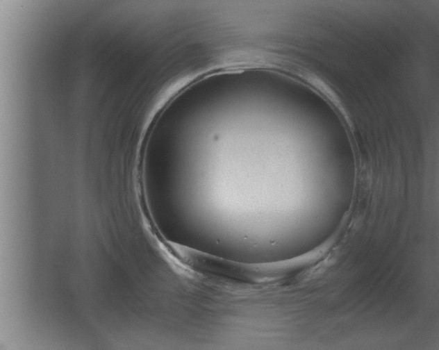 X0000067911485200604201351