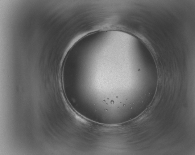 X0000067911486200604201351