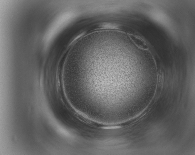 X0000067911487200604201351