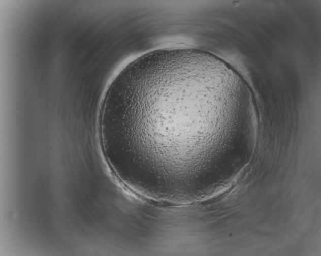 X0000067911488200604201351