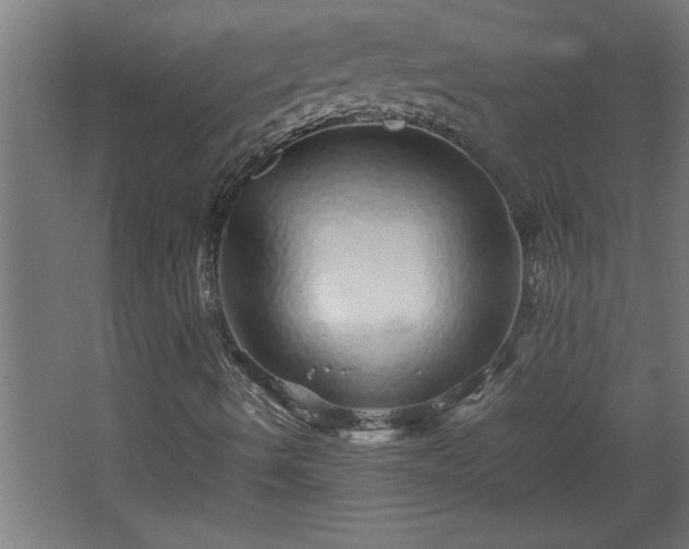 X0000067911490200604201350