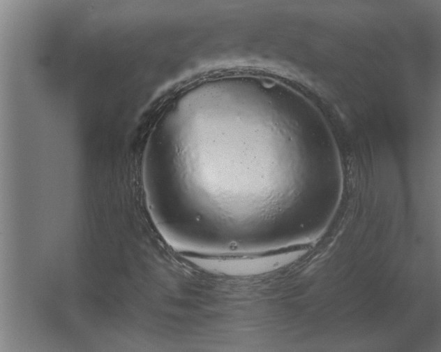 X0000067911494200604201351