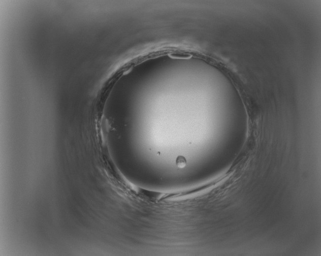 X0000067911496200604201351