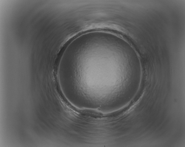 X0000067911497200604201351