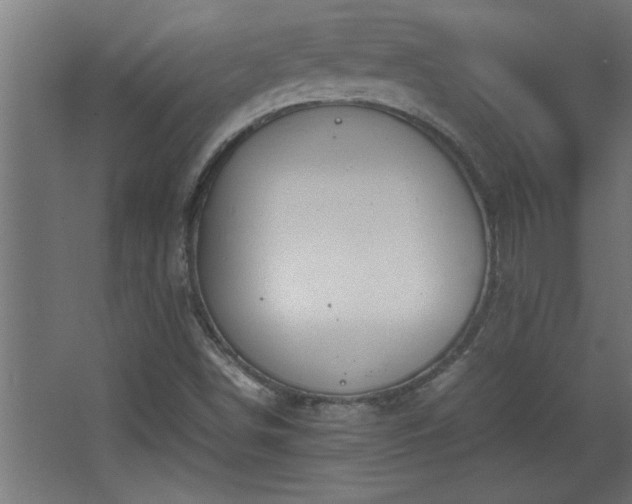 X0000067911498200604201351