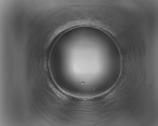 X0000067911499200604201351