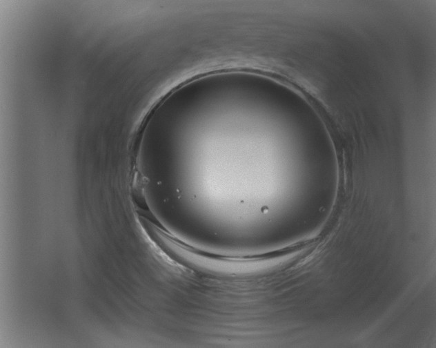 X0000067911500200604201351