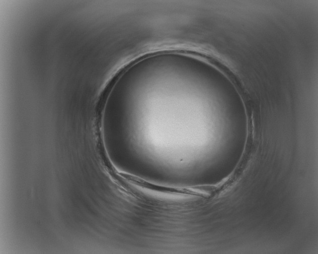 X0000067911501200604201351