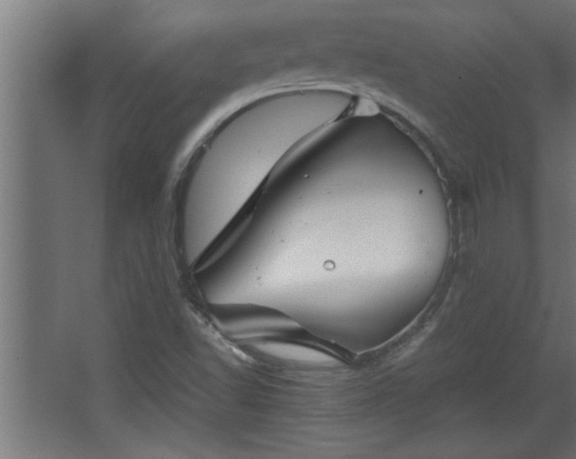 X0000067911502200604201351