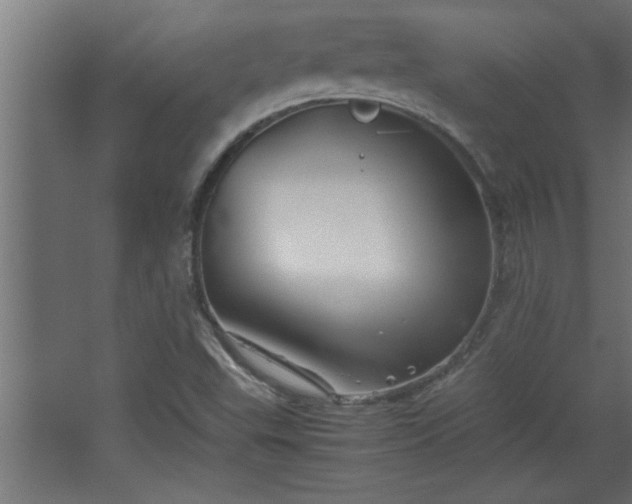 X0000067911503200604201351