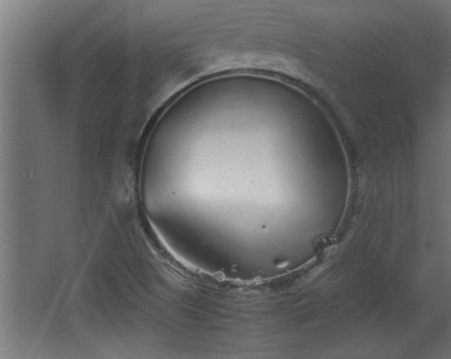 X0000067911505200604201351