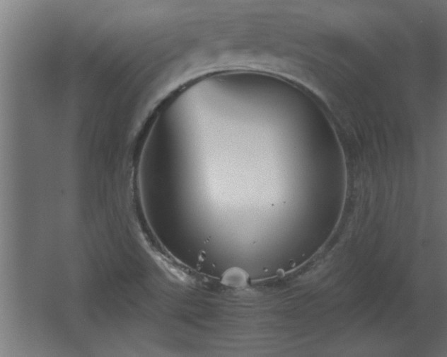 X0000067911507200604201351