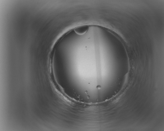 X0000067911510200604201351