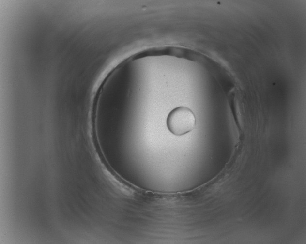 X0000067911512200604201351