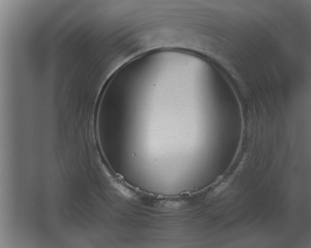 X0000067911513200604201351