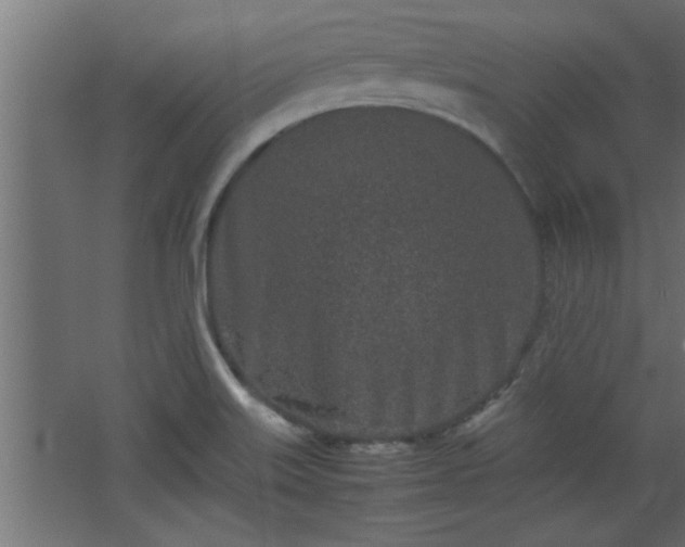 X0000067911515200604201351