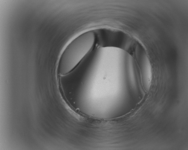 X0000067911516200604201351