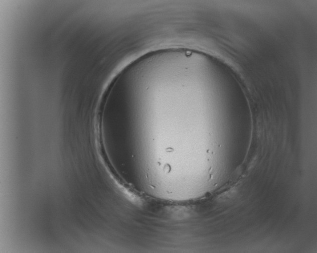 X0000067911517200604201351