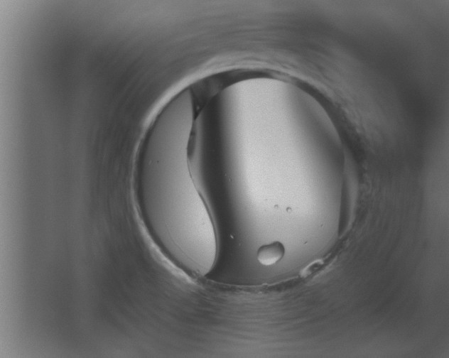 X0000067911518200604201351