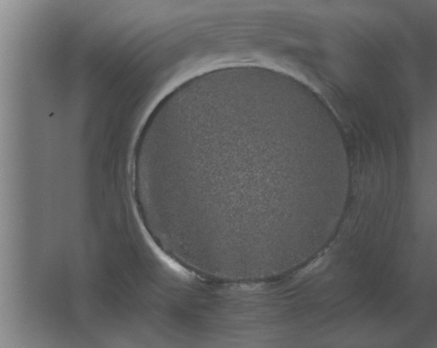 X0000067911519200604201351