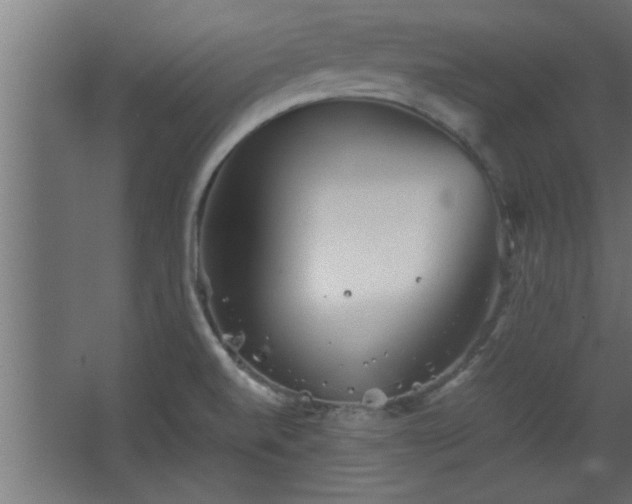 X0000067911520200604201351