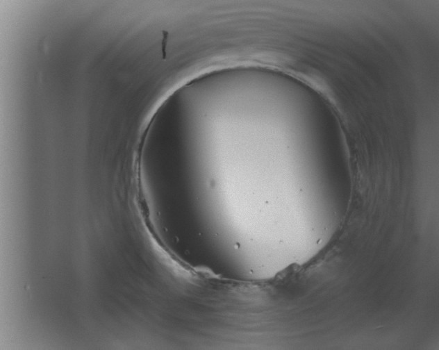 X0000067911524200604201351