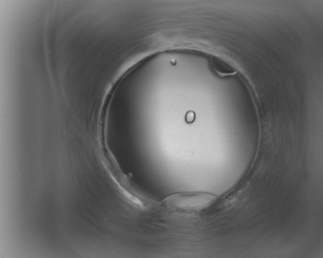 X0000067911525200604201351