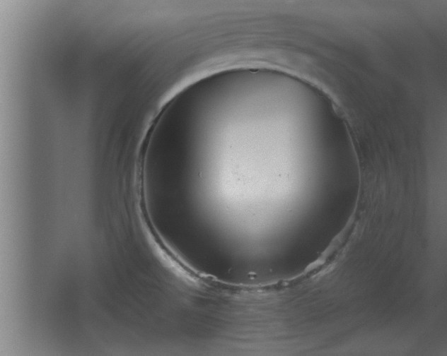 X0000067911526200604201351