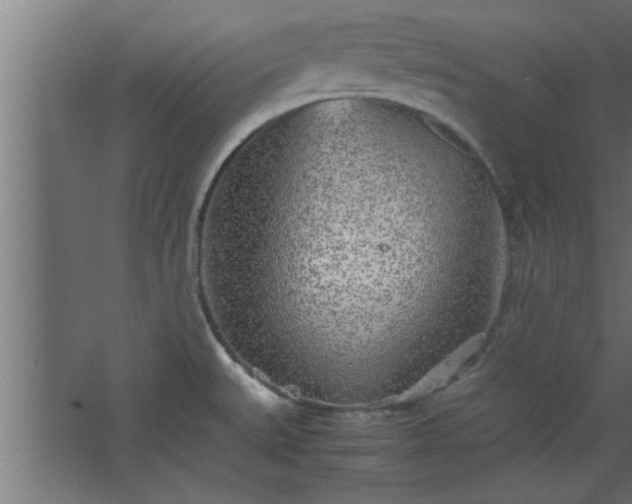 X0000067911527200604201351