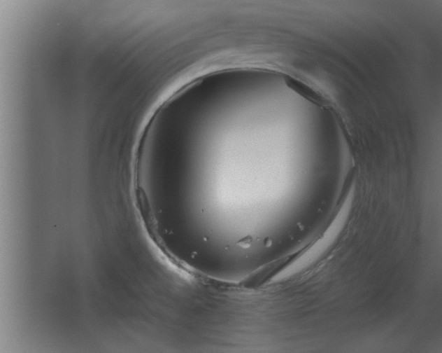 X0000067911528200604201351