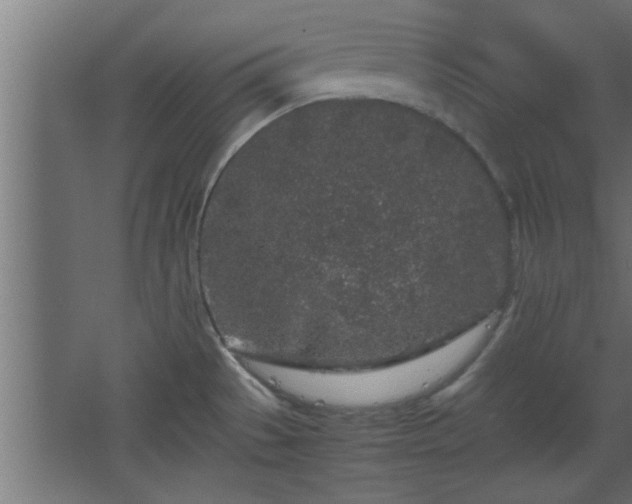 X0000067911529200604201351