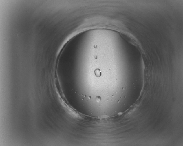 X0000067911530200604201351