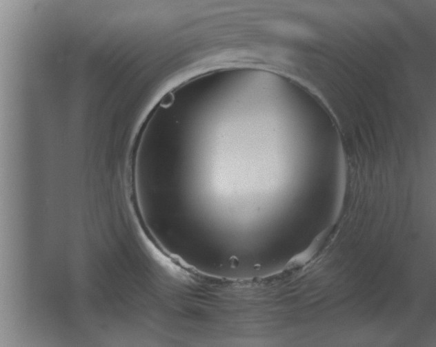 X0000067911531200604201351