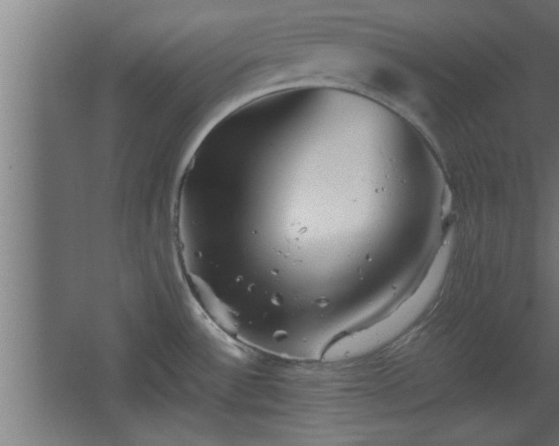 X0000067911532200604201351