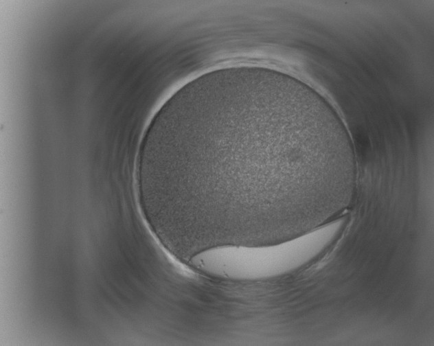 X0000067911533200604201351