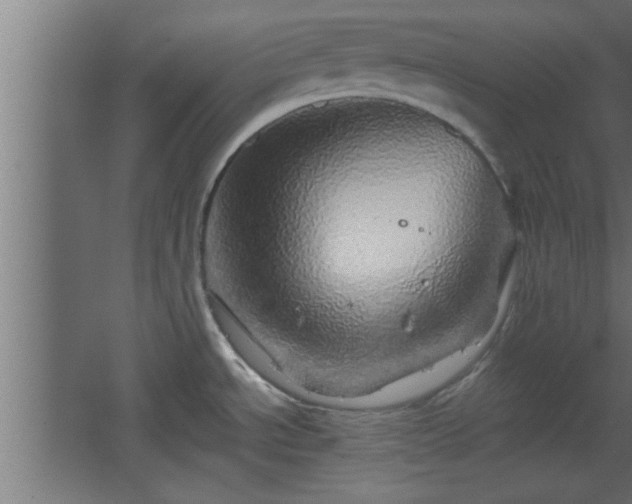 X0000067911534200604201351