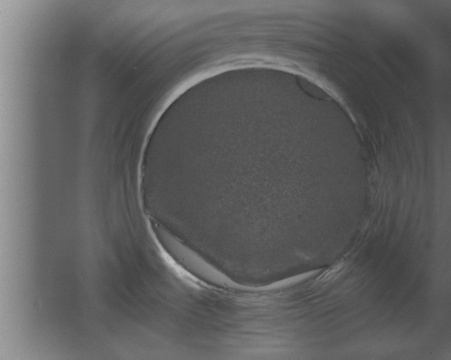 X0000067911535200604201351