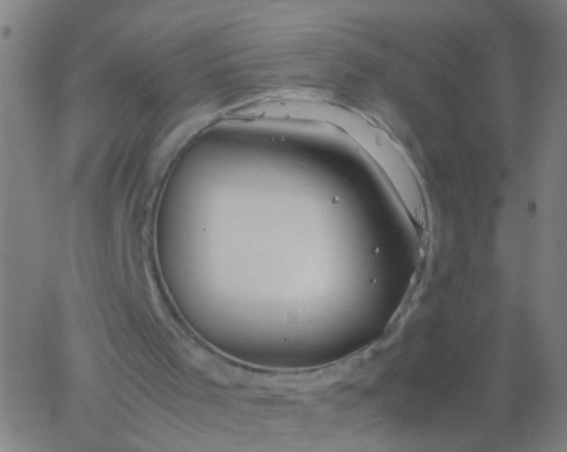 X0000067910001200604271929