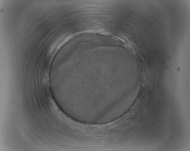 X0000067910002200604271929