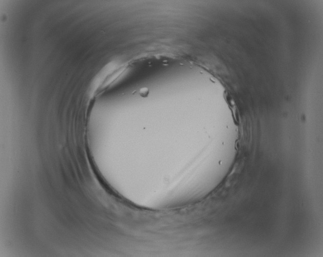 X0000067910003200604271929