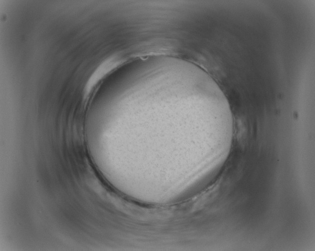 X0000067910004200604271929