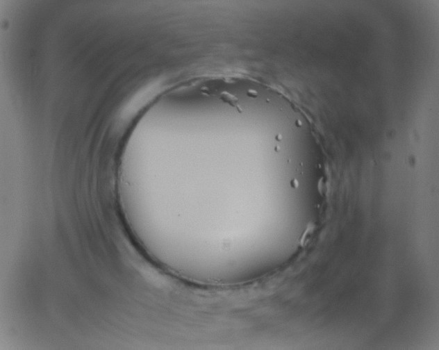 X0000067910005200604271929