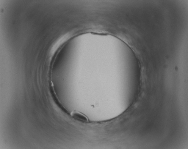 X0000067910007200604271929