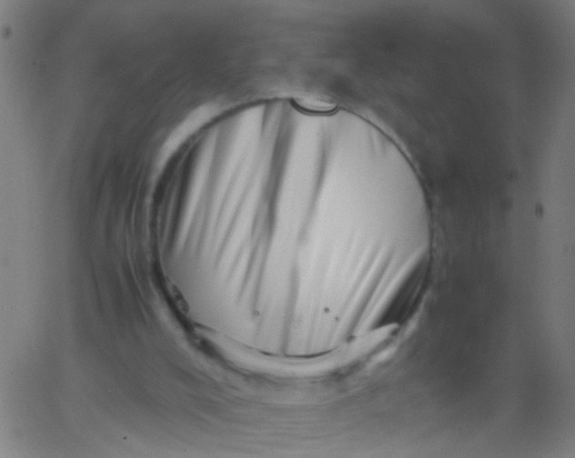 X0000067910008200604271929