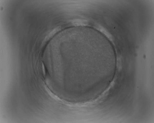 X0000067910009200604271929