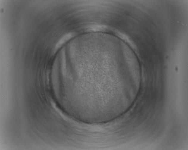 X0000067910010200604271929